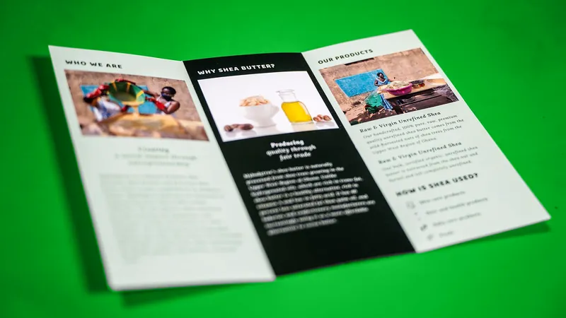 Mybodytree tri-fold leaflet on a green background